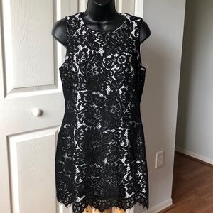 Lauren Ralph Lauren Black White Lace Sleeveless Dress Sz 8